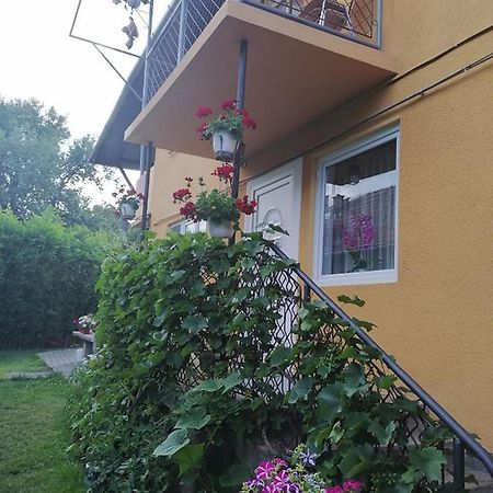 Casa De Oaspeti Orso Sovata Bagian luar foto