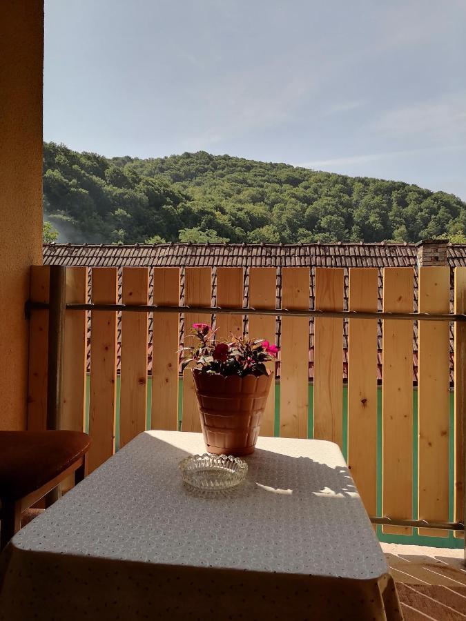 Casa De Oaspeti Orso Sovata Bagian luar foto